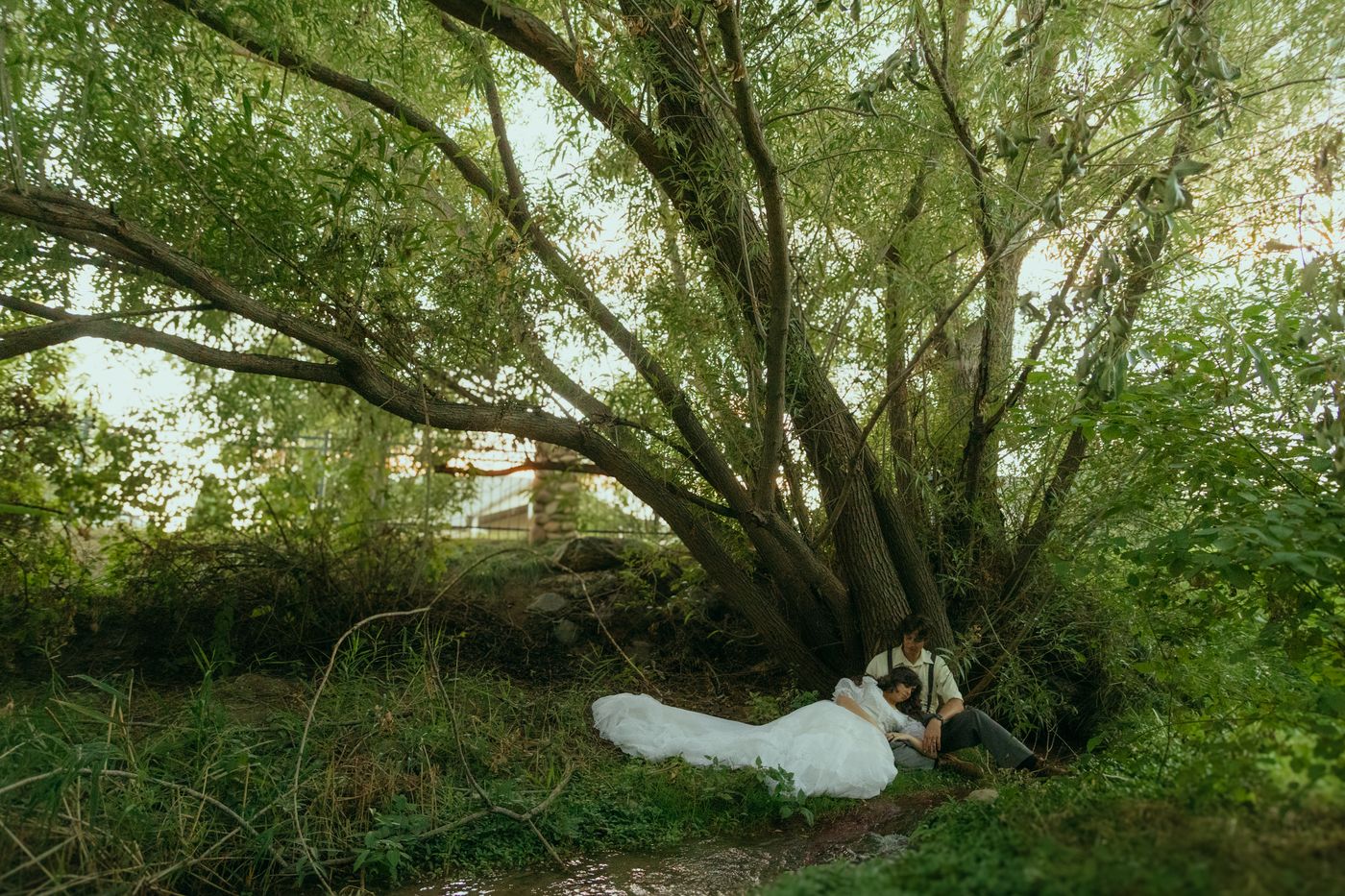 Bride in a white gown reclining on the grass beneath the sweeping branches of a large willow tree